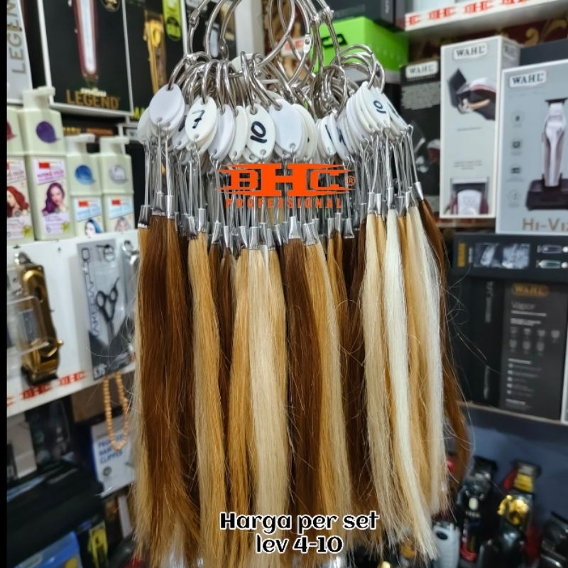 Hair Bleaching Sample Level Target 4 Sampai 10 Contoh Level Bleach Rambut — foto 3